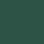 RR 11 (RAL 6020)
