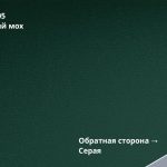 Зеленый мох (RAL 6005)