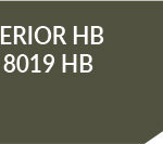 RAL 8019